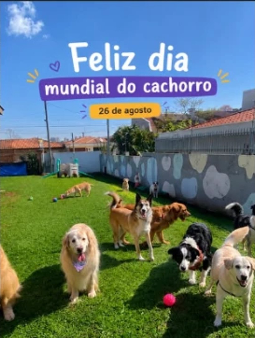 Post do Dia Mundial do Cachorro com cães no gramado